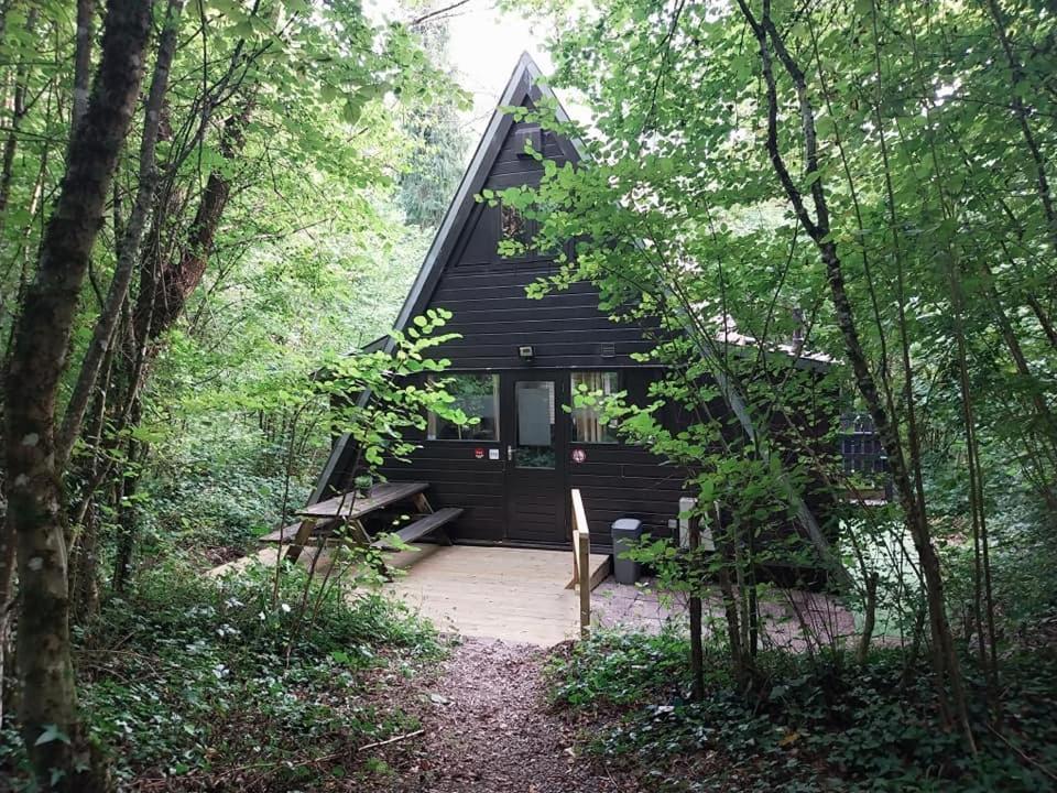 De Bosannemoon In Durbuy Villa Kültér fotó