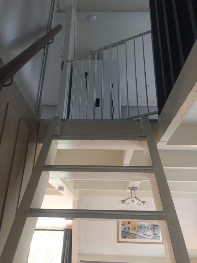 De Bosannemoon In Durbuy Villa Kültér fotó